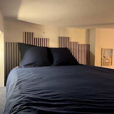 Montagn'Art Studio. 4Pers 30M2. Coeur Village. 科特雷 外观 照片